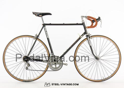 Raleigh Pursuit ficha-técnica e avaliações